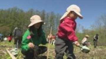 未来のために…「旭川家具」の職人らが広葉樹のミズナラを植樹　北海道東川町