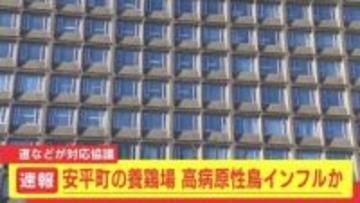 【速報】北海道安平町で高病原性鳥インフルエンザか　数日前からニワトリが相次いで死ぬ