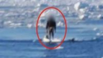 【流氷に乗るのやめて！】死に至るリスク専門家が警鐘「何千本もの針が刺さったような…」水難学会・斎藤秀俊理事「泳いで戻れば一貫のおしまい」