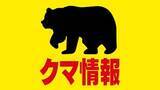 「河川敷にクマ出没　少なくとも９時間以上居座る　これまでに人や建物への被害なし　警察や猟友会が警戒中　北海道中川町」の画像1