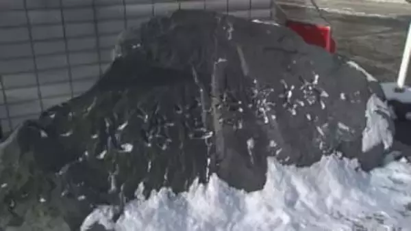 車両を売る意思がないのにオークションサイトに出品し現金をだまし取った疑い　自動車関連業の男（56）を逮捕　容疑認める　北海道警察