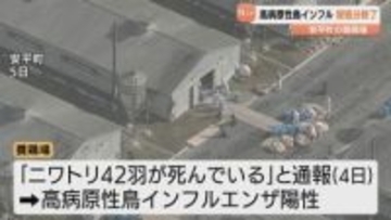 胆振の安平町　高病原性鳥インフル殺処分終了