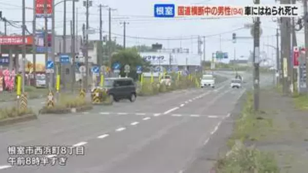 横断歩道のない国道横断中…94歳の男性が乗用車にはねられ死亡　北海道根室市