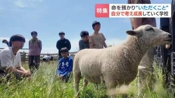 【新しい学び舎】テストもない！先生もいない！北海道長沼町にある小中学校の驚きの教育方針　ブタ？ヒツジ？子どもたちが決める「命をいただく」授業