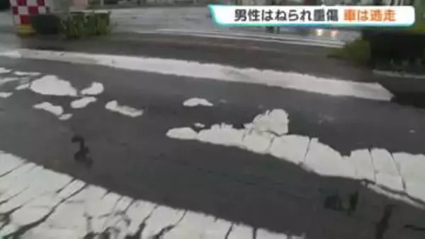 【帯広　ひき逃げ】横断歩道で30代男性が車にはねられ重傷…乗用車は現場からそのまま逃走