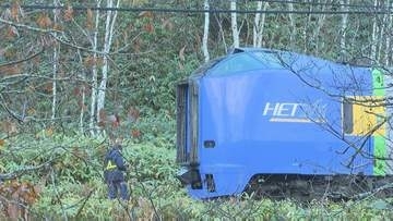 【続報】クマと衝突し特急列車が脱線、10時間以上車内で待機の乗客が下車、けが人なし　死んだクマは体重300キロという情報も　北海道・JR宗谷線