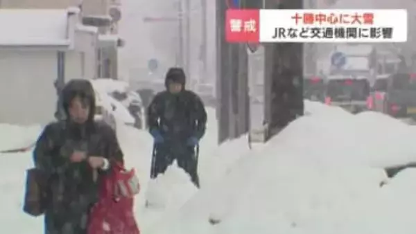 春遠のく…北海道大樹町で42cmの降雪（24時間）「覚悟はしていた」JRは特急など50本が運休