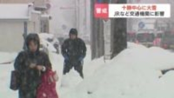 春遠のく…北海道大樹町で42cmの降雪（24時間）「覚悟はしていた」JRは特急など50本が運休