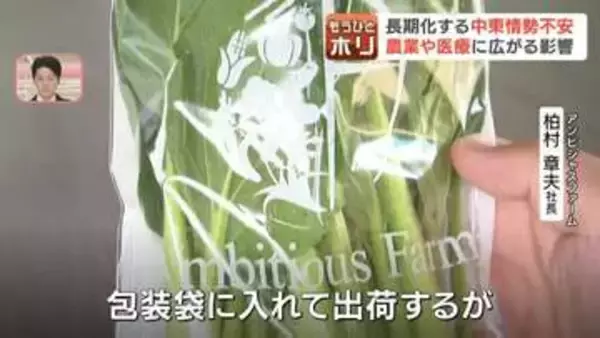 【危機】北海道の農業・医療を直撃…中東情勢悪化で「ナフサ」不足　包装材届かず野菜出荷に不安　医薬品の供給不足や処方に懸念