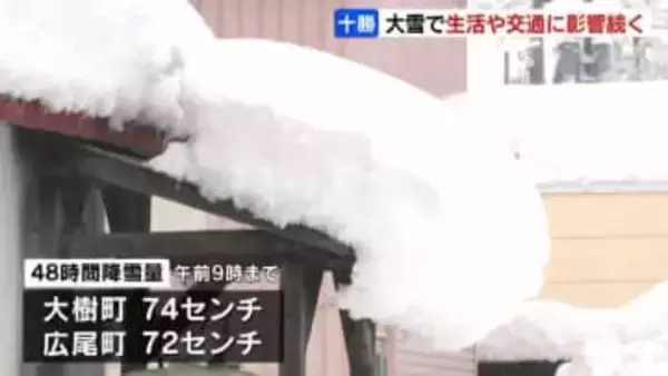 【大雪】3月としては記録的な多さ　48時間降雪量が大樹町74センチ、広尾町で72センチ　湿った重い雪に町民も雪かき苦労　北海道