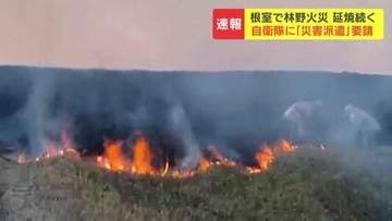 根室市で林野火災「煙が上がっている」と付近住民が通報、消火のめど立たず…北海道が自衛隊に災害派遣要請