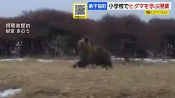 北海道弟子屈町の小学校でヒグマを学ぶ授業…子どもたちが生態や性格を学ぶ　根室など道東地方では、早くもヒグマの目撃情報相次ぐ