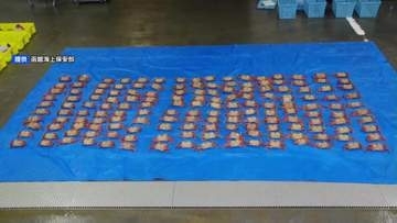 密漁か…許可を受けずに毛ガニ160匹を所持した疑いで漁師の親子逮捕　漁港をパトロール中の海上保安官が発見しその場で逮捕　北海道森町