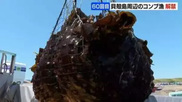 貝殻島周辺のコンブ漁解禁 節目の60回目　約180隻の漁船が出漁　漁獲枠2700トン…漁期は9月末まで