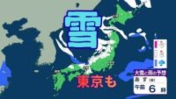 【大雪情報】日本海側だけではなく、太平洋側でも大雪のおそれ。東京も今夜にかけて雪か《大雪と雨の予想シミュレーション　29日(木)～31日(土)》