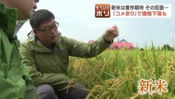 新米5キロが税抜き3000円割れも？コメ不足から一転「在庫過剰」へ…農家は「不安定ならやっていけない」2026年米価の下落要因と今後の懸念