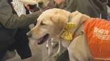 「北海道盲導犬協会「ガイドドッグオープンデー」体験歩行やデモンストレーションほか、犬と触れ合うコーナーなど　一般開放イベント25日午後3時まで」の画像1