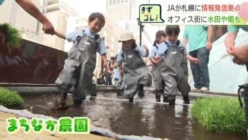 札幌・オフィス街に『アグリアクションパーク』誕生「まちなか農園」では幼稚園児たちが田植えに挑戦　JAの直売マルシェも同時オープン