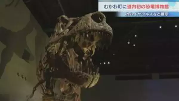 「でかくて食われそう！」むかわ町穂別恐竜博物館がオープン　国内6番目の聖地に　注目は全長8メートルの通称"むかわ竜"の全身骨格