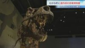 「でかくて食われそう！」むかわ町穂別恐竜博物館がオープン　国内6番目の聖地に　注目は全長8メートルの通称"むかわ竜"の全身骨格