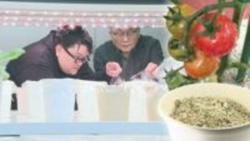 【魔法の土】水は通常の5分の1、虫の心配なし『土』を変えれば世界が変わる…札幌の親子ベンチャーが挑む農業革命に湾岸諸国「食問題を解決できるかも」