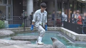 「ぺんぎん館」で妻のものとみられるスマホ発見　殺人容疑で再逮捕された旭山動物園職員の男「妻に異性関係を疑われた」破壊してデータ消去を図ったか