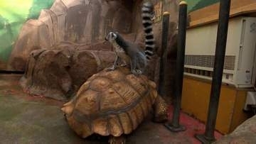 ノースサファリサッポロの除却命令取り消し請求　札幌市開発審査会が棄却
