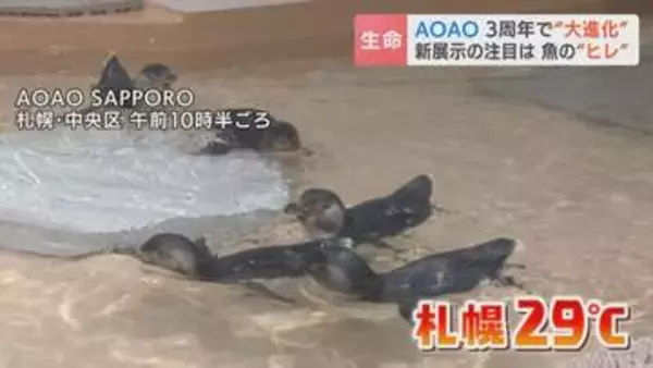 絶滅危惧種に期間限定メニュー　３周年を迎えた札幌中心部の都市型水族館 AOAO SAPPORO　新たな仲間が加わりリニューアルオープン