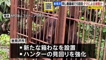 岩見沢の養鶏場で鶏など４０羽が死ぬ　クマによる被害か　今年5回目の被害