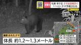 「『クマ予報』的中…札幌・羊ヶ丘に推定1.3ｍほどのクマ出没か「羊ヶ丘」周辺は三角山から藻岩山周辺に並び今季クマ対策を意識したいエリア」の画像1