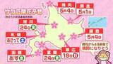 「【開花情報】17日函館、18日札幌で開花も…札幌は連日10℃超えの暖かさ、花見計画はお早めに　黄砂や花粉にも注意」の画像1