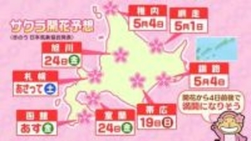 【開花情報】17日函館、18日札幌で開花も…札幌は連日10℃超えの暖かさ、花見計画はお早めに　黄砂や花粉にも注意
