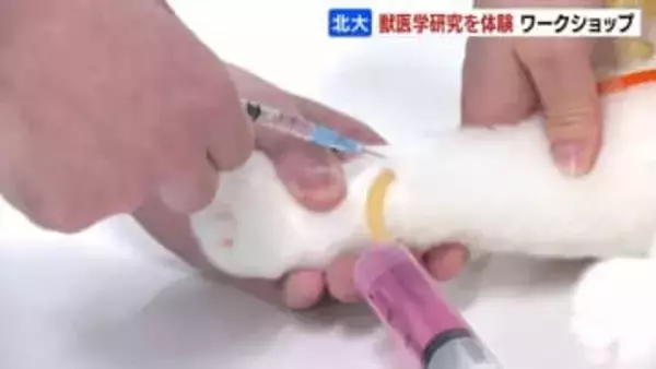 中学生が北海道大学で獣医学の研究体験　実習施設を見学、模型やタブレットなどを使って動物の骨格やからだの構造を観察