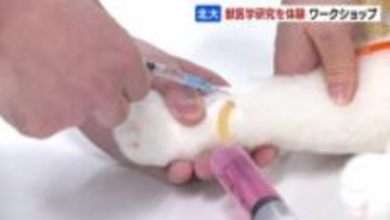 中学生が北海道大学で獣医学の研究体験　実習施設を見学、模型やタブレットなどを使って動物の骨格やからだの構造を観察