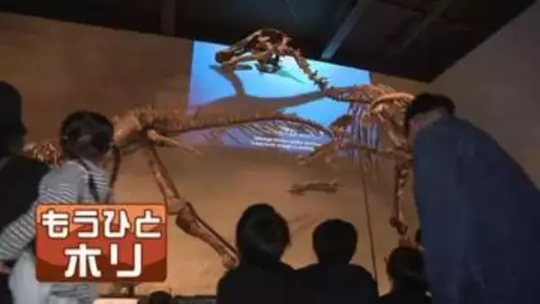 【穂別恐竜博物館】北海道内初の恐竜博物館が間もなくオープン　「奇跡の大発見」国内8例目の新種「カムイサウルス」初の全身での復元骨格　恐竜好きにはたまらない展示も