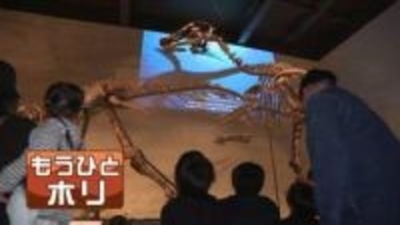 【穂別恐竜博物館】北海道内初の恐竜博物館が間もなくオープン　「奇跡の大発見」国内8例目の新種「カムイサウルス」初の全身での復元骨格　恐竜好きにはたまらない展示も