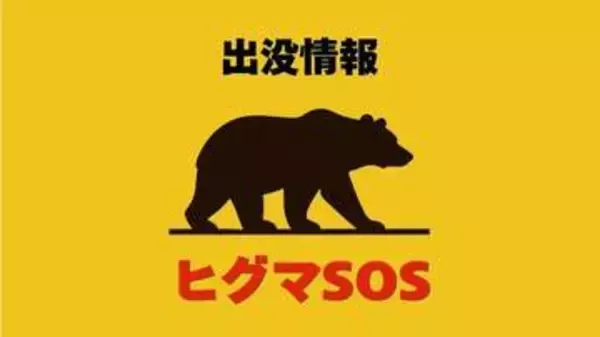 【ヒグマSOS】"人を見ても逃げない"危険なヒグマ出没か　札幌市定山渓の中山林道でタケノコ採り男性が遭遇　現地にハンター派遣へ