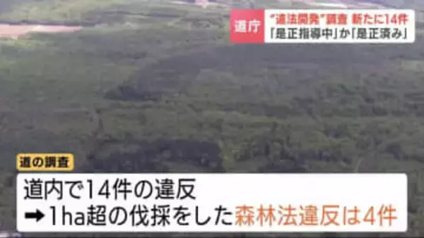 北海道内で「違法開発」新たに14件  森林法違反など北海道が是正指導　事業者の認識不足が要因　倶知安町での事案きっかけに調査