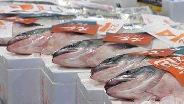 【サーモンショック】消費者ため息、漁業者は不安　最高値85万円も…秋サケ不漁で食卓直撃　回帰率低下で人工ふ化事業は赤字、来遊量過去最少の衝撃