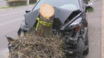 車2台が街路樹に衝突　60代くらいの男性が死亡「キー！みたいな音がしてドーンと」車3台が絡む事故のはずみで…北海道函館市