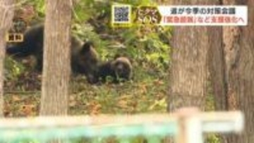 前年比5倍のヒグマ対策関連費6億円、ガバメントハンター3人採用「緊急銃猟」など支援強化へ…北海道が関係機関と連携強化を確認【ヒグマSOS】