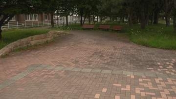 「おい待て」女子児童が面識のない男に腕をつかまれ約100メートル連れまわされ頭を殴られる　女子児童にけがなし　警察が20歳くらいの男の行方を追う　北海道苫小牧市
