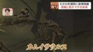 「最も完全な化石」に沸く恐竜のマチ！むかわ町に新恐竜博物館が誕生、驚きの「ワニ肉」グルメも…恐竜に託す住民の熱い挑戦