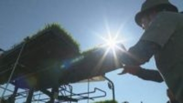 米どころ 北海道東川町で「ゆめぴりか」の田植え始まる