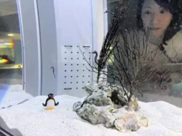 愛の伝え方多種多様　札幌の水族館・AOAOで企画展　「ピングー」コラボも