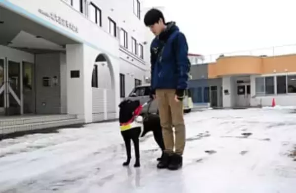 北海道の盲導犬　実働頭数がピーク時の4割減　背景にどのような事情が？＜日栄編集委員が読み解く＞