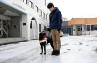 北海道の盲導犬　実働頭数がピーク時の4割減　背景にどのような事情が？＜日栄編集委員が読み解く＞