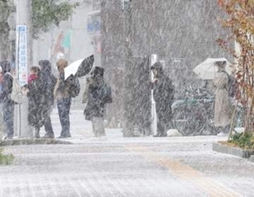 【写真15枚】札幌・函館など6カ所で初雪　日本海側、夕方まで暴風雪予想