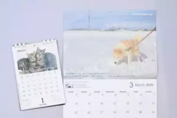 保護犬・猫　ほほ笑ましい姿　NPO、カレンダー販売