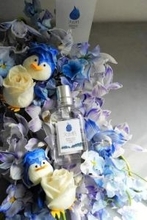 ＜ドクトル薄木の人生花あり＞花やハーブとジンのコラボ